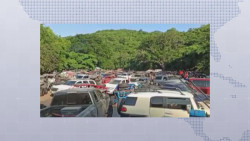 Atentos a la evolución de casos que puedan surgir por "cosalazo"