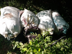 Aseguran droga y armas en Tepuche