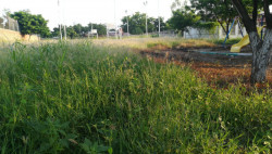En el abandono parque en la colonia 10 de mayo