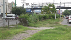 Camellones enmontados