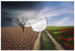 La OMS asocia la pandemia al cambio climático: "era cuestión de tiempo"