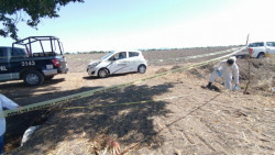 Encuentran cadáver en Navolato