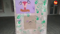En desacuerdo IMMUJER con pintas feministas