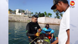 Extraen 300 kg del mar... pero de basura