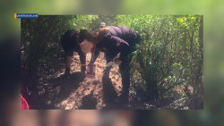 Hubiera preferido no encontrarla así; la creía viva: Nora Lira