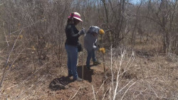 Colectivos de búsqueda demandan atención y respuesta del fiscal Alejandro Gertz