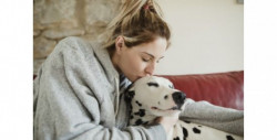 Mujer de NL buscó ampararse para adoptar a su perro como su hijo