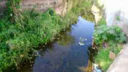 Arroyo con lama y agua estancada en la Emiliano Zapata