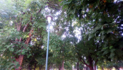 No enciende el alumbrado público del parque en la campiña