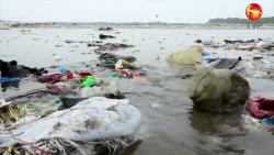 Listo Reglamento Ambiental y de Cambio Climático en Mazatlán