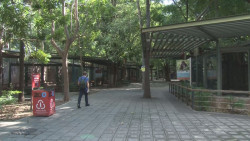 Zoológico de Culiacán participa en 300 rescates de animales