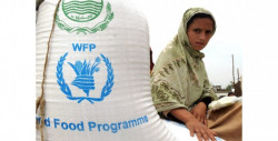 El Programa Mundial de Alimentos le gana a Greta Thunberg y a la OMS el Nobel de la Paz 2020