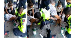 Así le dan reanimación cardiopulmonar a perrito que casi muere por ataque de abejas