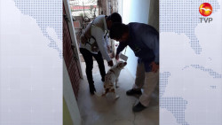 Llevan concientización casa por casa