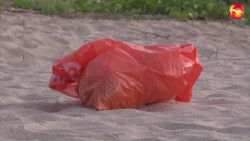 En una semana inician sanciones por distribución de popotes y bolsas