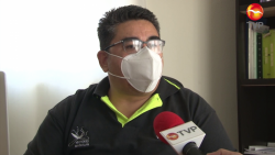 El mosco del Dengue es doméstico