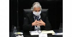 Las muertes violentas de mexicanas "no cesaron ni disminuyeron" durante la pandemia: Secretaría de Gobernación Federal