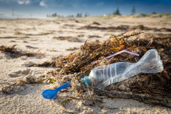 El fondo del mar, ¡plastificado!