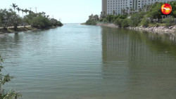 Terminan descargas de aguas negras en el Estero del Yugo