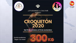 Amigos de los Animales pide apoyo para la campaña "Croquetón 2020"