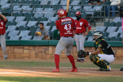 Venados pierde el ultimo de la serie ante Cañeros