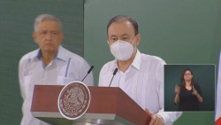 Alfonso Durazo se va de la Secretaría de Seguridad