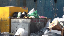 Nadie se hace cargo de la basura en el Parque Bonfil.
