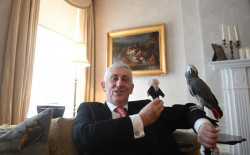 Un loro llamado Boris y el futuro de la Cámara de los Comunes