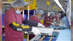 Cinco carreras de ITSON ingresan a padrón de excelencia