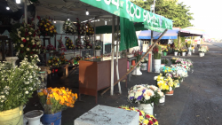 Podría incrementar el precio de la flor en los próximos días