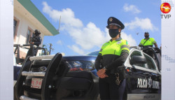 Sinaloa baja la incidencia de delitos:  SESNSP
