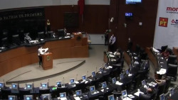 A favor de las sesiones virtuales en el Senado