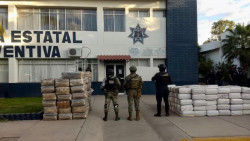 Aseguran casi una tonelada de marihuana en el poblado Tepuchito