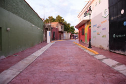 Entregan pavimentación de calle en Rosario