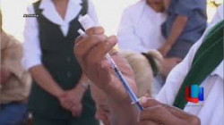Llaman a aplicarse la vacuna contra la influenza