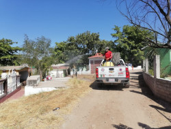 Aprovecha autoridad municipal para sanitizar panteones estos días