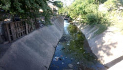 Arroyo con agua estancada en la Buenos Aires