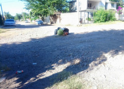 Bolsas de basura en medio de la calle