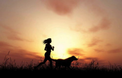 La historia común entre perros y humanos estaba consolidada hace 11.000 años