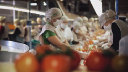 Sinaloa de los estados con menos afectaciones económicamente por las actividades primarias