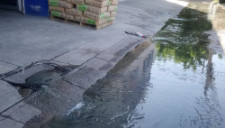 Brota fuente de aguas negras sobre la avenida Revolución