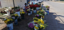 Reportan bajas ventas Floristas en Ahome