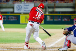 Los Venados visitan Guasave a partir de este martes