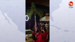 Llaman a aislarse a quienes festejaron Halloween en Mazatlán