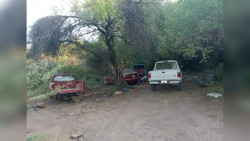 Bajo un mesquite desmantelaban carros