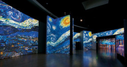 Hasta el 31 de enero la exposición Van Gogh Alive' en México