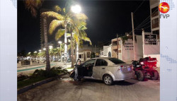Automóvil choca contra una palmera, sobre el Paseo Claussen