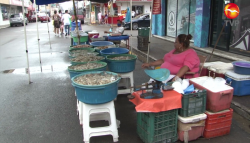 Poco camarón de altamar ha llegado hasta las "Changueras"