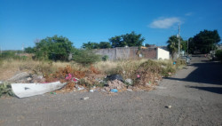 Utilizan lote baldío de basurero en Fraccionamiento Los ángeles