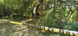 Localizan osamenta en la Ribera del río Tamazula